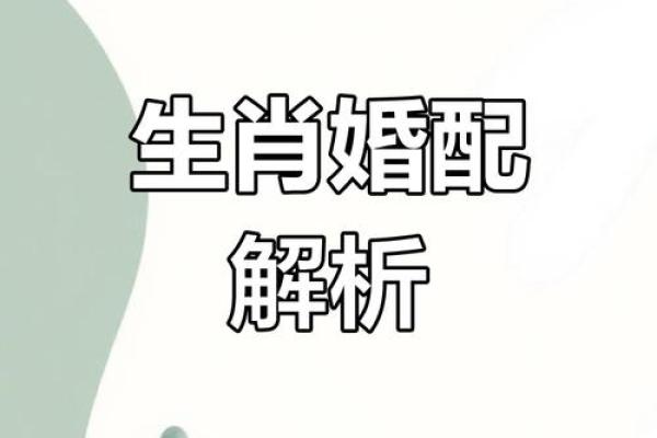 1983猪女结婚吉日(1983年属猪女婚配属相)