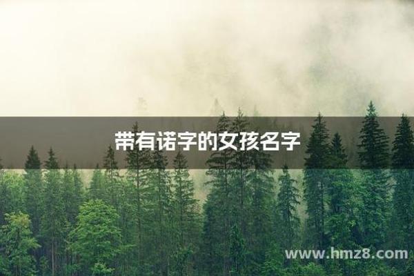 诺字配什么字好听公司名字(诺字搭配)