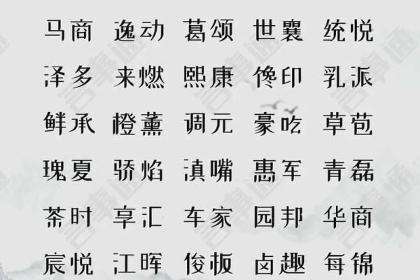 开公司怎么起名字(开公司怎么起名字好听)