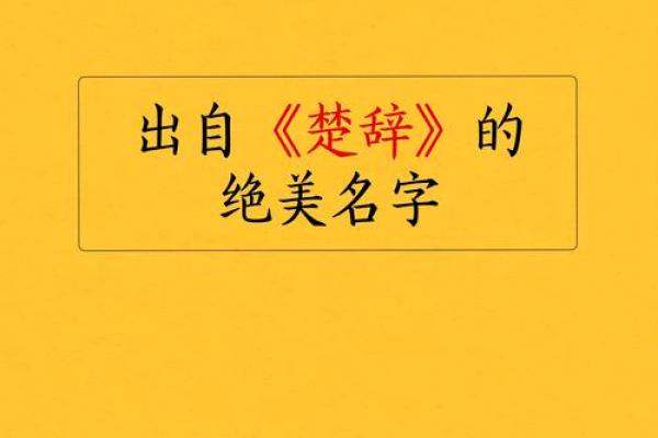 楚辞中大气的公司名字(楚辞中大气的公司名字三个字)