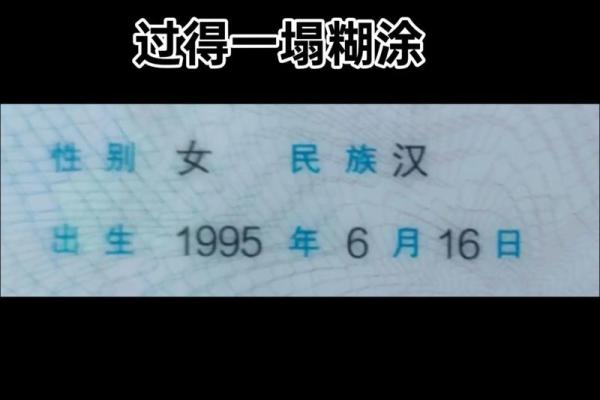 1995猪结婚吉日(1995猪什么时候结婚好)