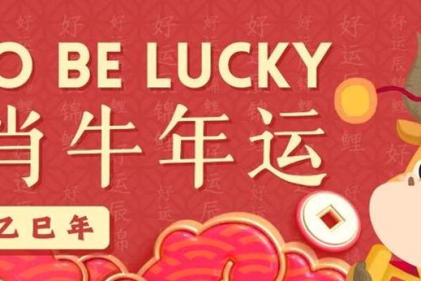 2025年属牛适合安门的日子 2025年属牛安门吉日精选最佳安门时辰与风水指南
