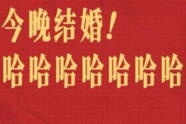 2025狗和兔领证吉日(狗与兔结婚)