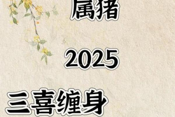 95属猪2025年结婚吉日