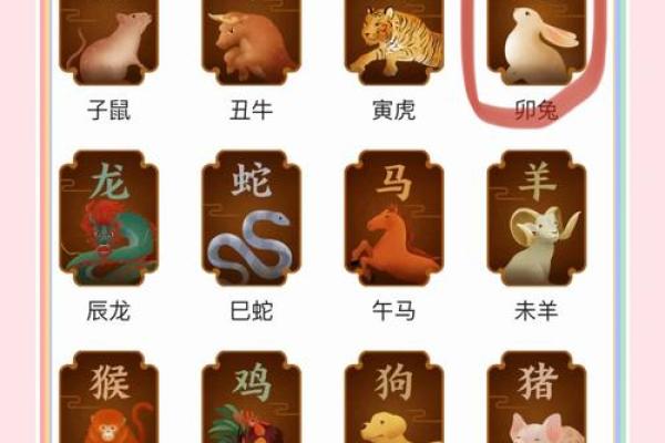 17年龍兔结婚吉日(属兔龙年结婚)