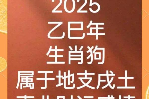 94属狗23年结婚吉日