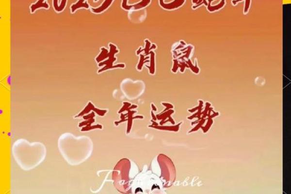 11月属鼠人结婚吉日(十一月属鼠的人好不好)