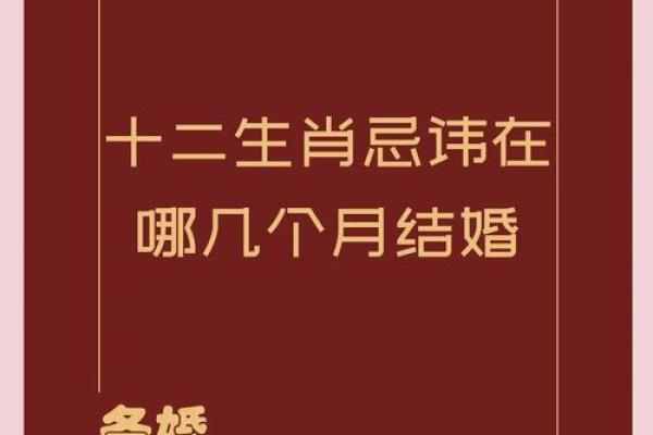 84年属鼠结婚吉日查询