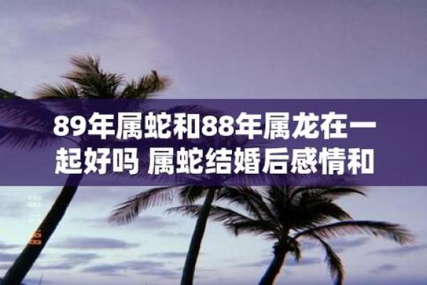 3月领证吉日虎和蛇