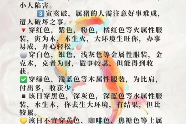 2025年11月24日五行穿衣搭配指南，2025年11月24日五行穿衣有什么讲究