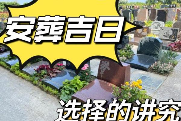 2026年5月安葬树葬花葬吉日:回归自然生命循环 2026年5月安葬树葬花葬吉日:回归自然生命循环