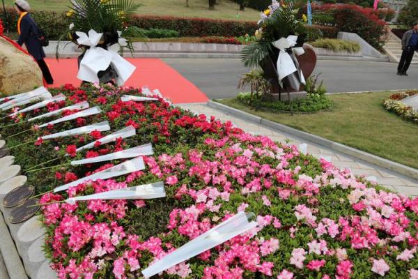 2026年5月安葬树葬花葬吉日:回归自然生命循环 2026年5月安葬树葬花葬吉日:回归自然生命循环