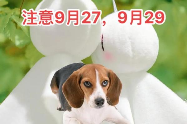 2026年6月生肖狗宜修墓日:水瓶座祭祖修缮吉日 2026年6月生肖狗宜修墓日:水瓶座祭祖修缮吉日