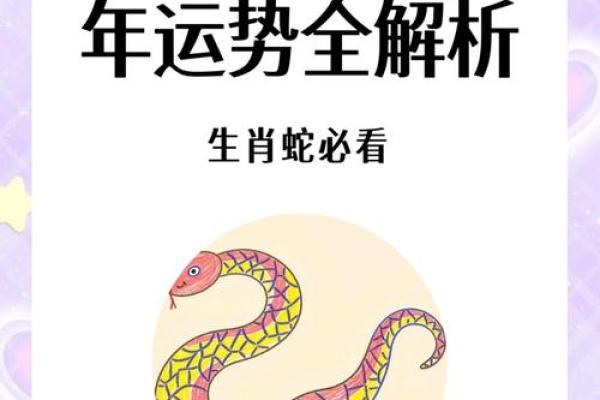 2026年5月生肖蛇提车保险购买吉日:险种选择与吉日 2026年5月生肖蛇提车保险购买吉日:险种选择与吉日