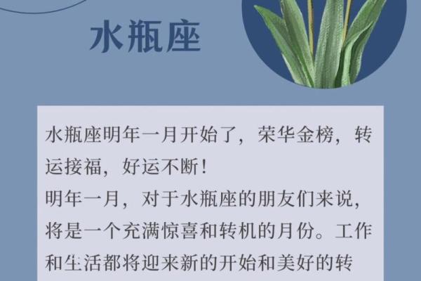 2026年6月出行吉日查询:生肖狗水瓶座远行平安日选择 2026年6月出行吉日查询:生肖狗水瓶座远行平安日选择